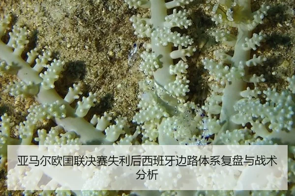 亚马尔欧国联决赛失利后西班牙边路体系复盘与战术分析 - 8868.com